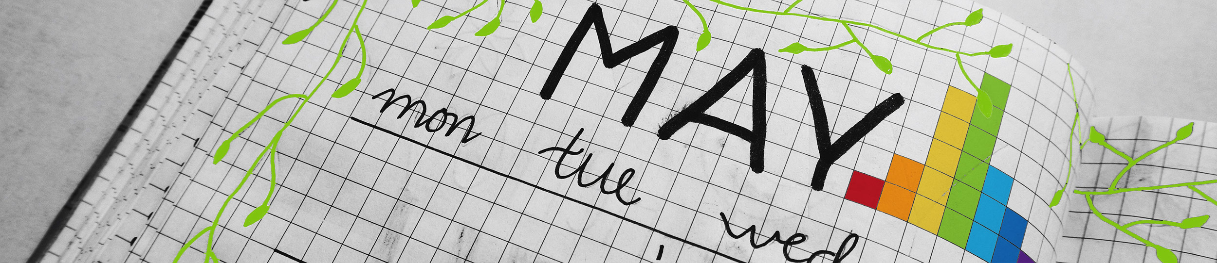 Reminder - Diary Entry